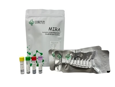 Kit di amplificazione rapida isotermica Mira Striscia di prova dell'acido nucleico